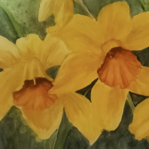Lisa Summerfield